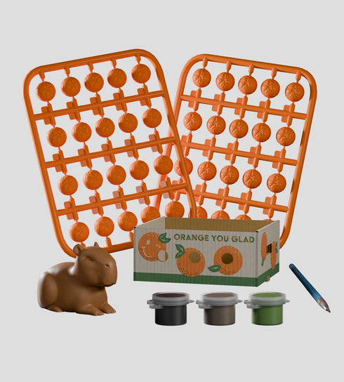 『Fruit Box Stowaways DIY Craft Kit』031_Blind Box【BOX】