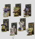 『Wild Magic Tarot』037_-VOLUME II-【BOX】