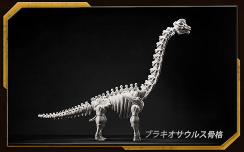 『ジュラシック・ワールド テラベンチャー』005_TS02【BOX】