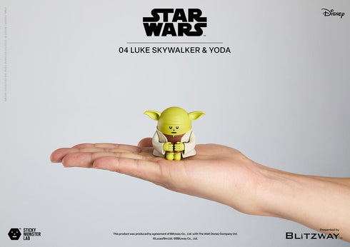 『STAR WARS』SML 04 LUKE SKYWALKER and YODA【202505再販】