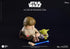 『STAR WARS』SML 04 LUKE SKYWALKER and YODA【202505再販】