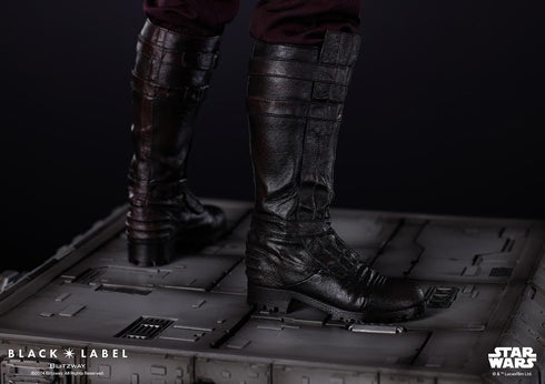 『STAR WARS』アナキン・スカイウォーカー(ブラックレーベル 002)【202505再販】