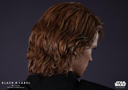 『STAR WARS』アナキン・スカイウォーカー(ブラックレーベル 002)【202505再販】