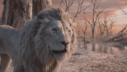 【Blu-ray】ライオン・キング:ムファサ ブルーレイ + DVD セット