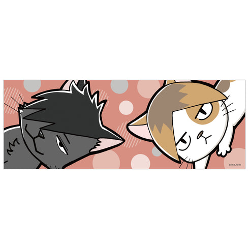 『ハイキュー!!』フェイスタオル 音駒高校