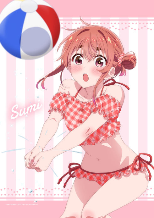 『彼女、お借りします』第3期 B2タペストリー 桜沢墨/ビーチバレー