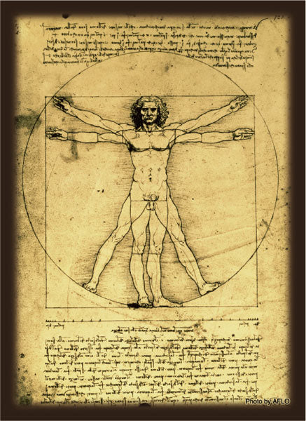 ブロッコリーハイブリッドスリーブ レオナルド・ダ・ヴィンチ「ウィトルウィウス的人体図」 パック