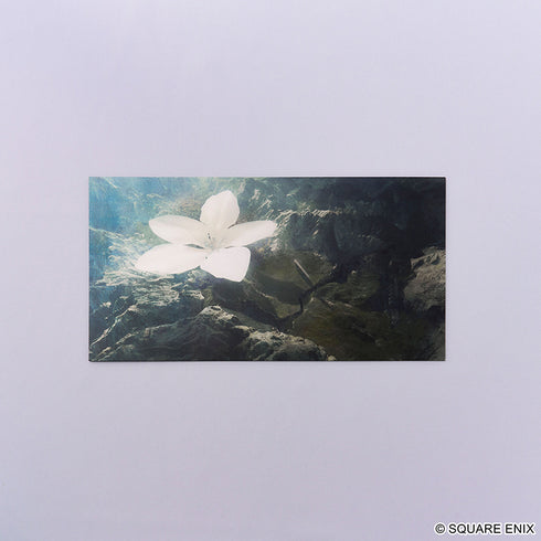 『NieR Series』ラージポストカードセット