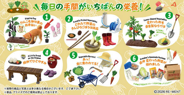 『ぷちサンプルシリーズ』おいしい野菜の育てかた 6個入りBOX