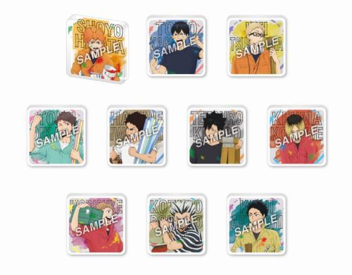 『ハイキュー!!』ペイントスーツ トレーディング アクリルブロック BOX