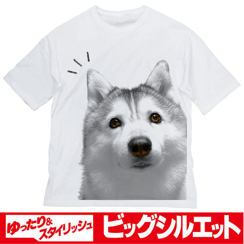 『ハマジ』シルビア ビッグシルエットTシャツ【202405再販】