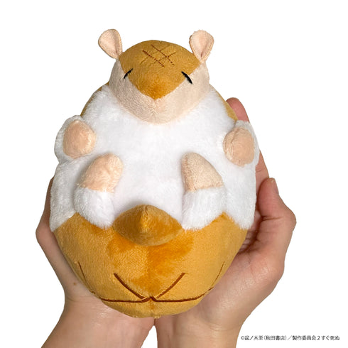 『吸血鬼すぐ死ぬ』子ジョンがこんなに大きくなりましたぬい