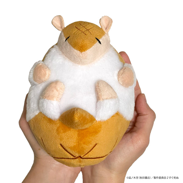 『吸血鬼すぐ死ぬ』子ジョンがこんなに大きくなりましたぬい