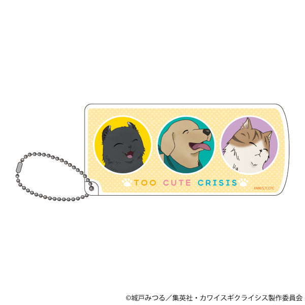 『カワイスギクライシス』スライド式小物ケース 01/よぞら&マサムネ&エミリ(公式イラスト)