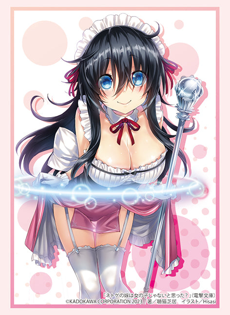 『ネトゲの嫁は女の子じゃないと思った?』スリーブコレクション ハイグレード 玉置亜子 Part.3