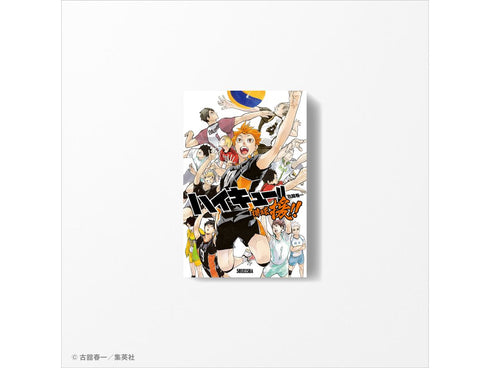 『ハイキュー!!』排球援!!