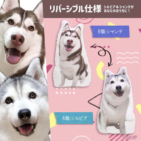 『ハマジ』シルビア&シャンテ もふもふ等身大クッション【202405再販】