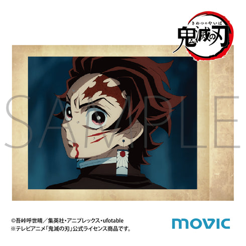 『鬼滅の刃』ぱしゃこれ / 其ノ陸 BOX