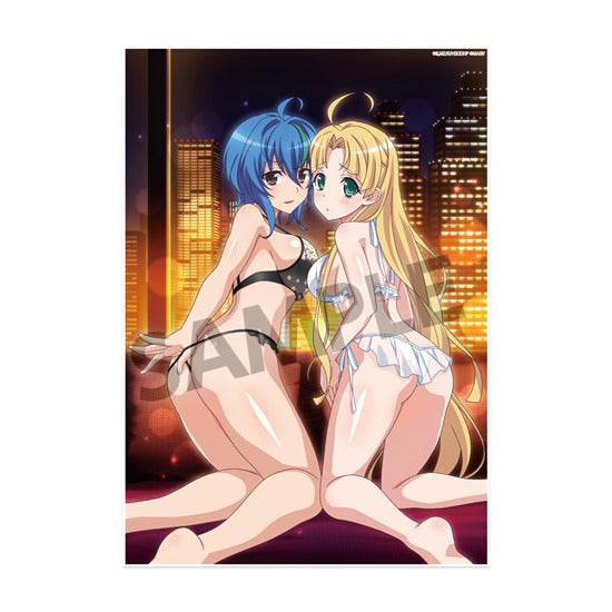 『ハイスクールD×D HERO』ビジュアルアクリルプレート vol.2 ゼノヴィア&アーシア ホワイトデー ver.