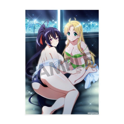 『ハイスクールD×D HERO』ビジュアルアクリルプレート vol.2 朱乃&アーシア ビキニクリニック ver.