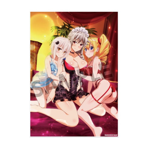 『ハイスクールD×D HERO』ビジュアルアクリルプレート vol.2 小猫&グレイフィア&レイヴェル ハーレム ver.