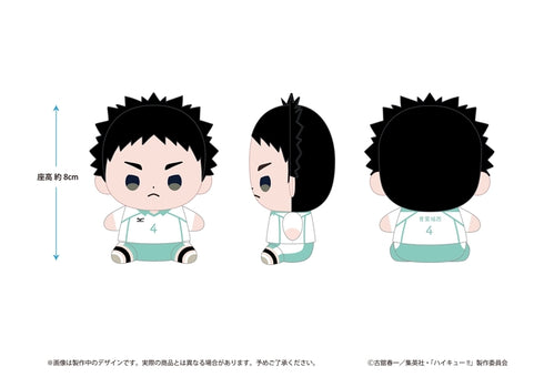 『ハイキュー!!』もっちび ぬいぐるみ 岩泉 一