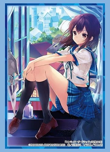 《电击文库 Strike the Blood》 Bushiroad 卡套收藏系列 高级版 Vol.4042 《姬柊雪菜》