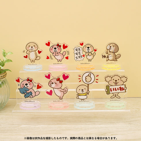 『突撃!ラッコさん』ちゅあスタ/ミニチュアアクリルスタンドコレクション BOX
