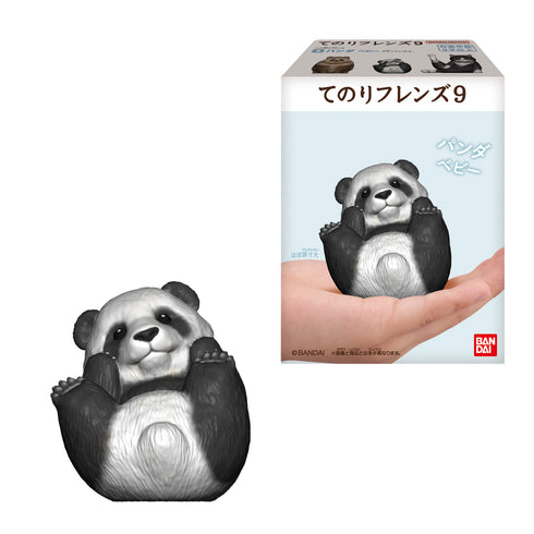 《手持朋友》9盒装