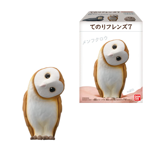 《手持朋友》7盒装