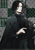 "Harry Potter" Clear File Set B