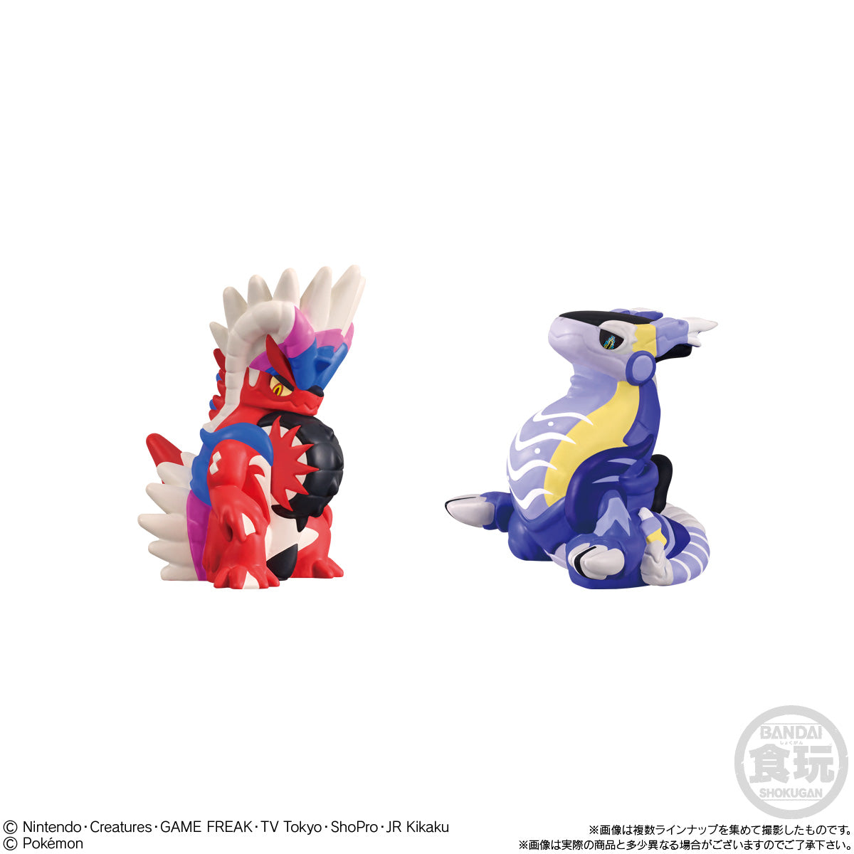 ポケットモンスター』ポケモンキッズ パルデア地方編 BOX - Anime Store.JP