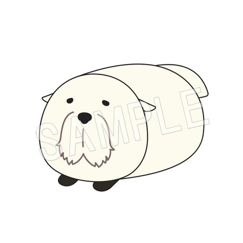 『SPY×FAMILY』まめころりん BOX