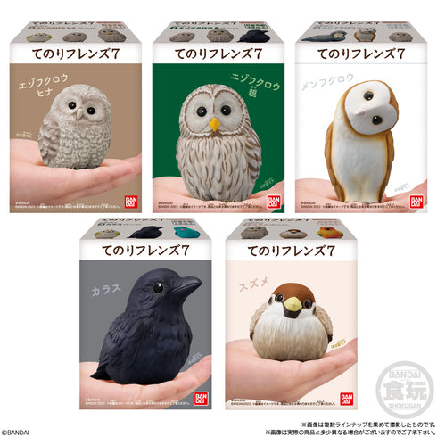《手持朋友》7盒装