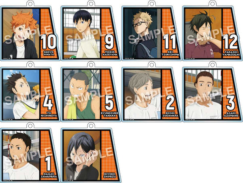 『ハイキュー!!』活動録アクリルボールチェーン 全10種 BOX