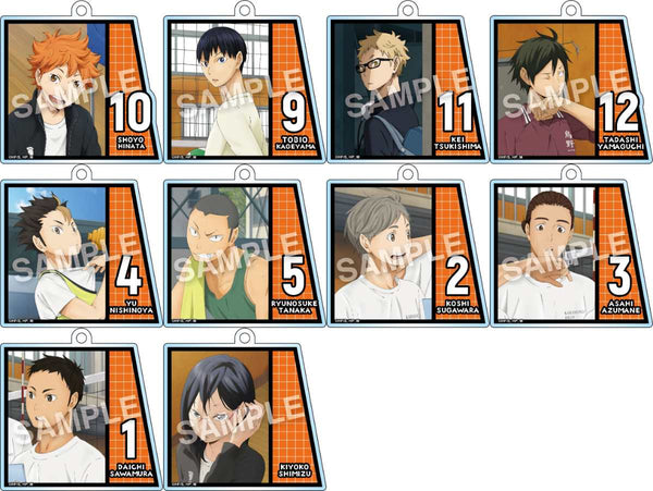 『ハイキュー!!』活動録アクリルボールチェーン 全10種 BOX