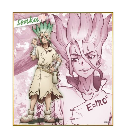 『Dr.STONE』トレーディングミニ色紙 BOX
