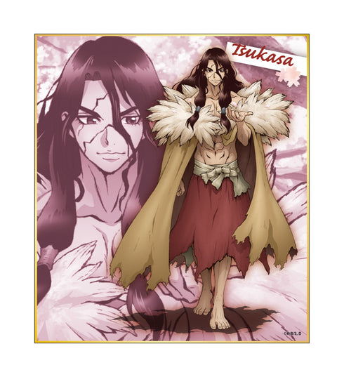 『Dr.STONE』トレーディングミニ色紙 BOX