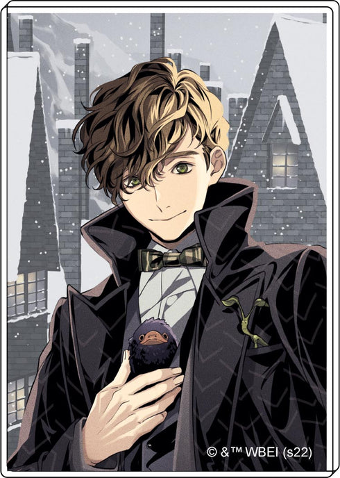 "Fantastic Beasts" Acrylic & Framed Magnet Set (Set of 4)