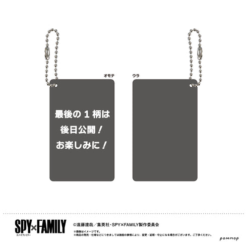 『SPY×FAMILY』ビジュアルカードキーホルダーコレクション BOX