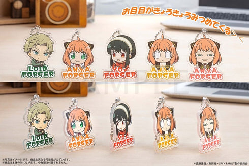 『SPY×FAMILY 』にいてんごきょろきょろアクリルキーホルダー BOX
