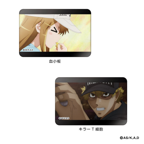 『はたらく細胞』缶バッジ2種<血小板・キラーT細胞>