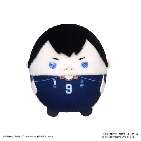 『ハイキュー!!』ふわコロりん BOX