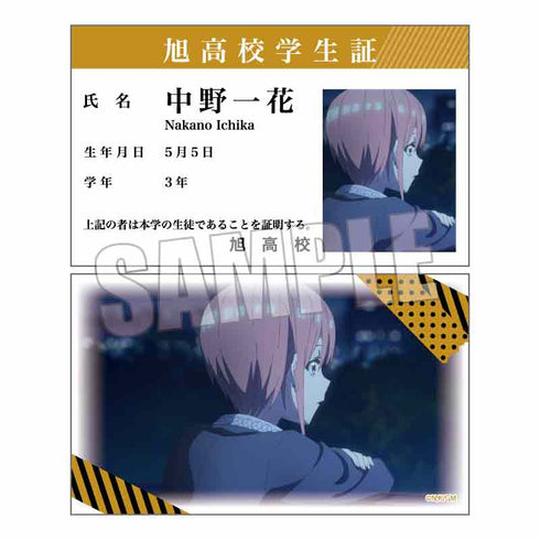 『映画 五等分の花嫁』コレクションカード BOX