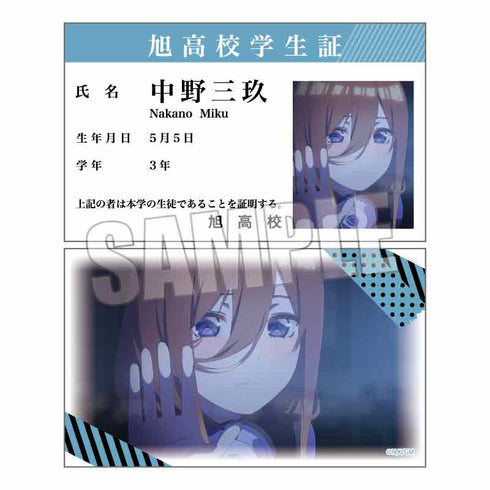 『映画 五等分の花嫁』コレクションカード BOX