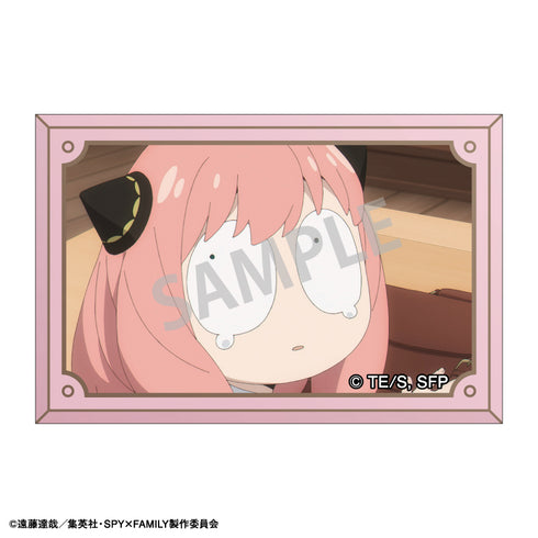 『SPY×FAMILY』トレーディングスクエア缶バッジ vol.4 BOX