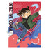 "Detective Conan" Single Clear File: Conan Edogawa (Jump)