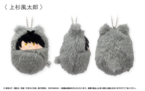 『映画 五等分の花嫁』くるみたぴぬい BOX