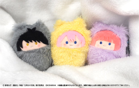 『映画 五等分の花嫁』くるみたぴぬい BOX