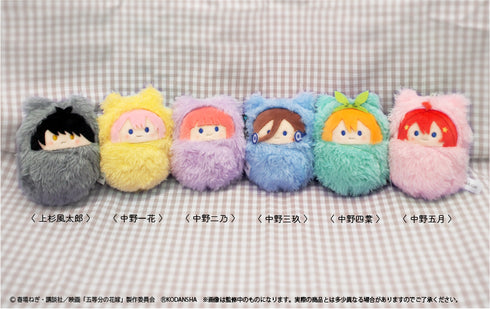 『映画 五等分の花嫁』くるみたぴぬい BOX